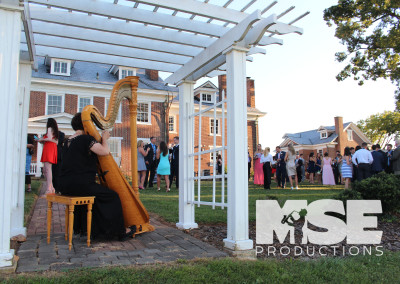 Harpist Linda